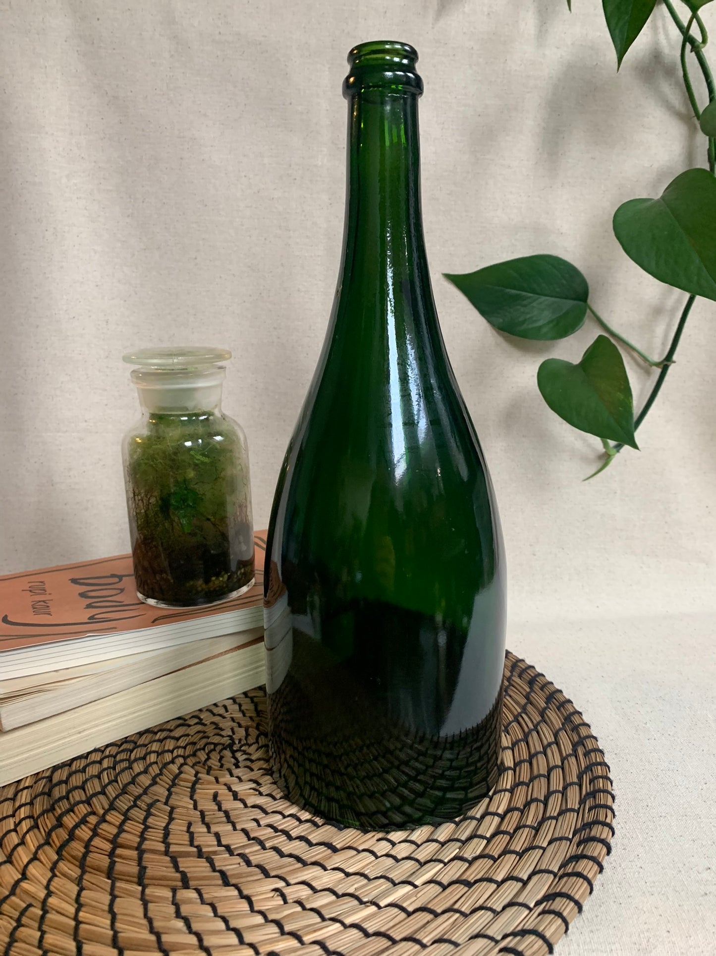 Glass Bottle Cloche