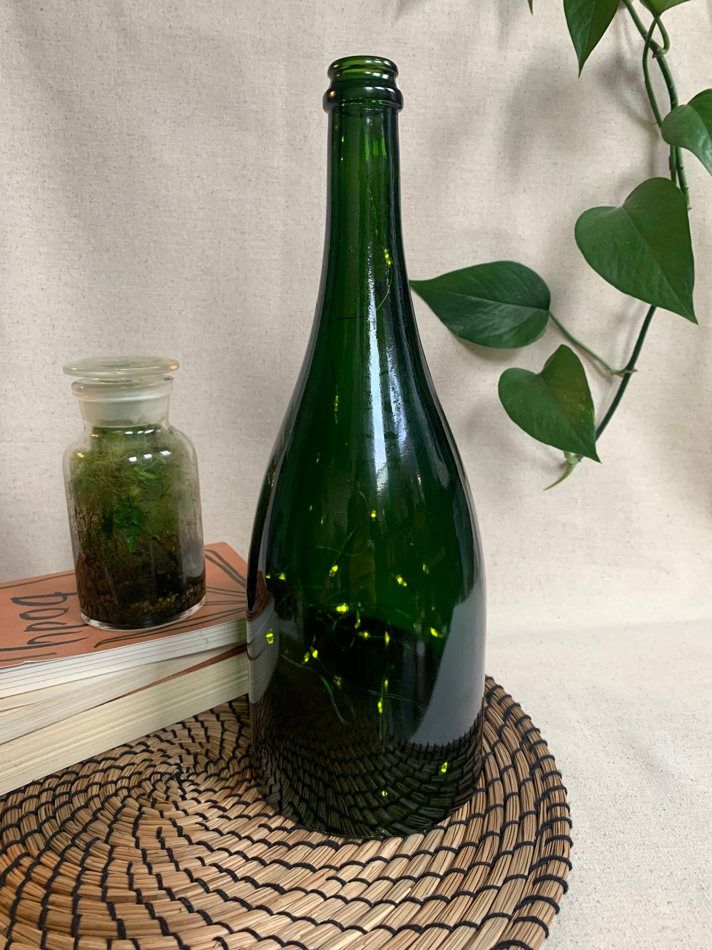 Glass Bottle Cloche